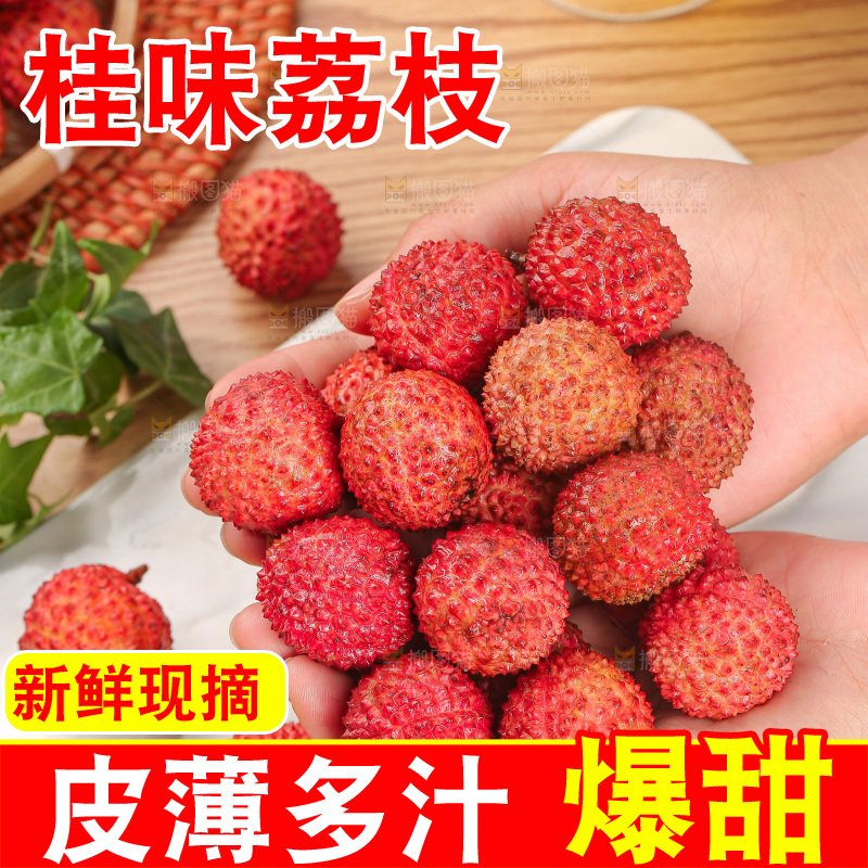 浅底上的桂味荔枝
