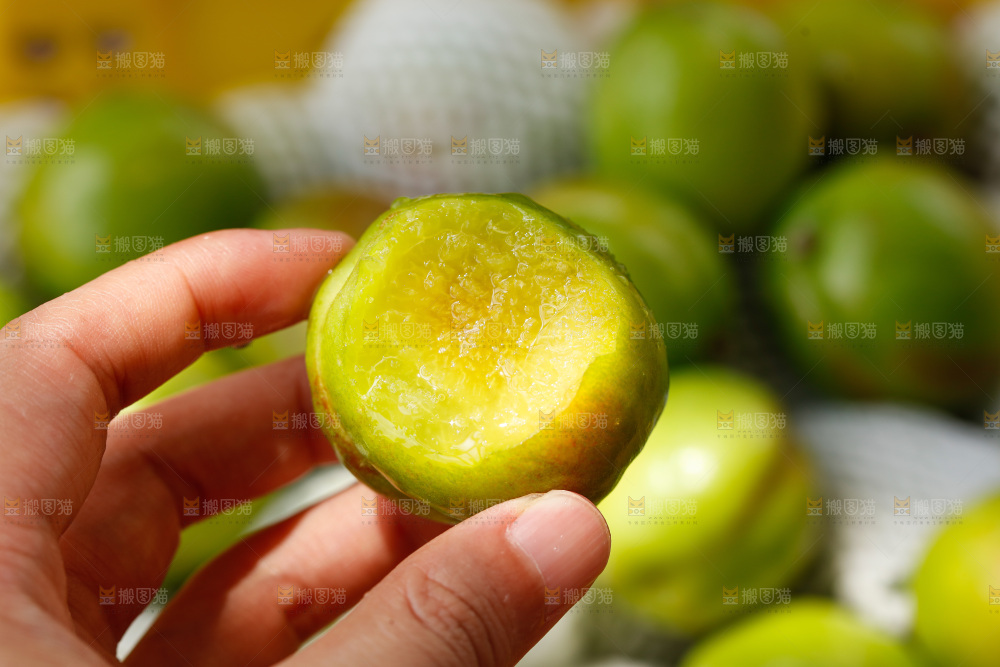 深底上的大梨杏