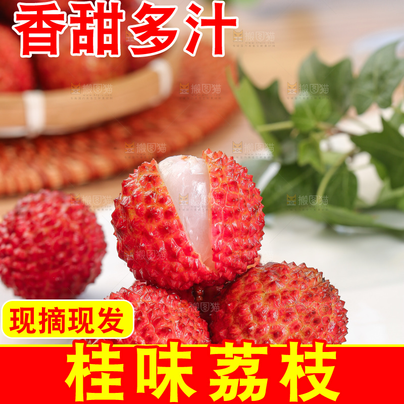 浅底上的桂味荔枝