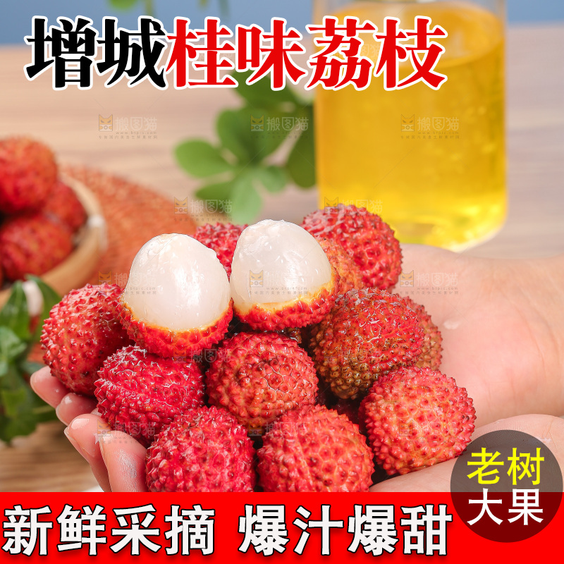 浅底上的桂味荔枝