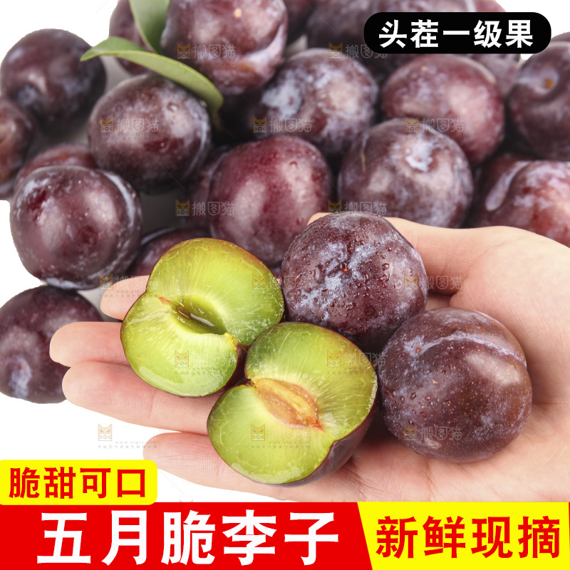 白底上的五月脆李子