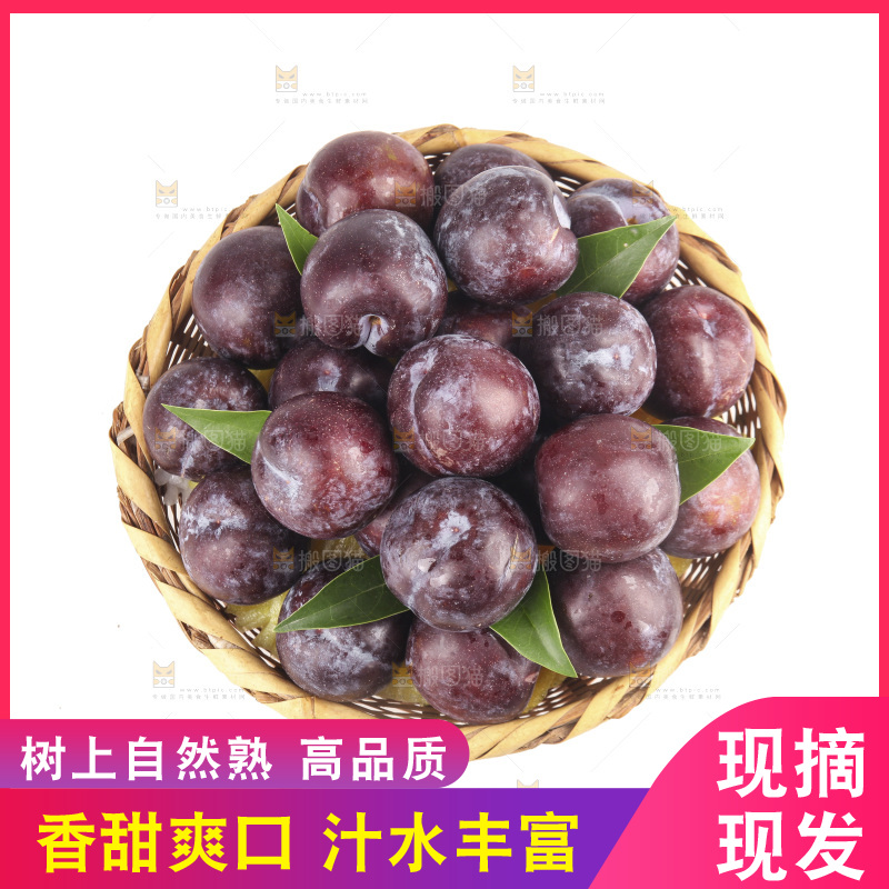 白底上的五月脆李子