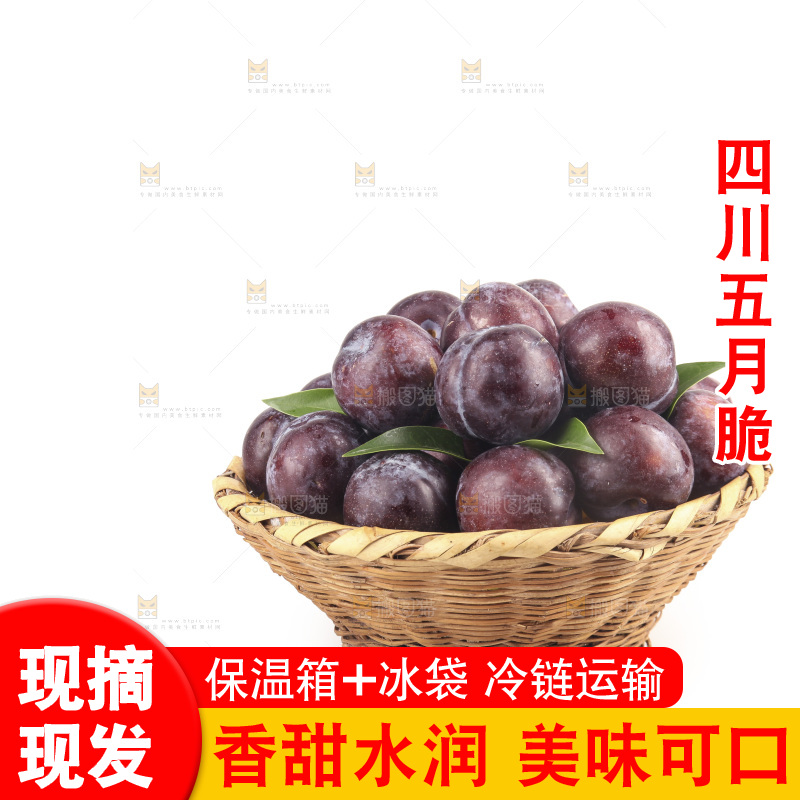 白底上的五月脆李子