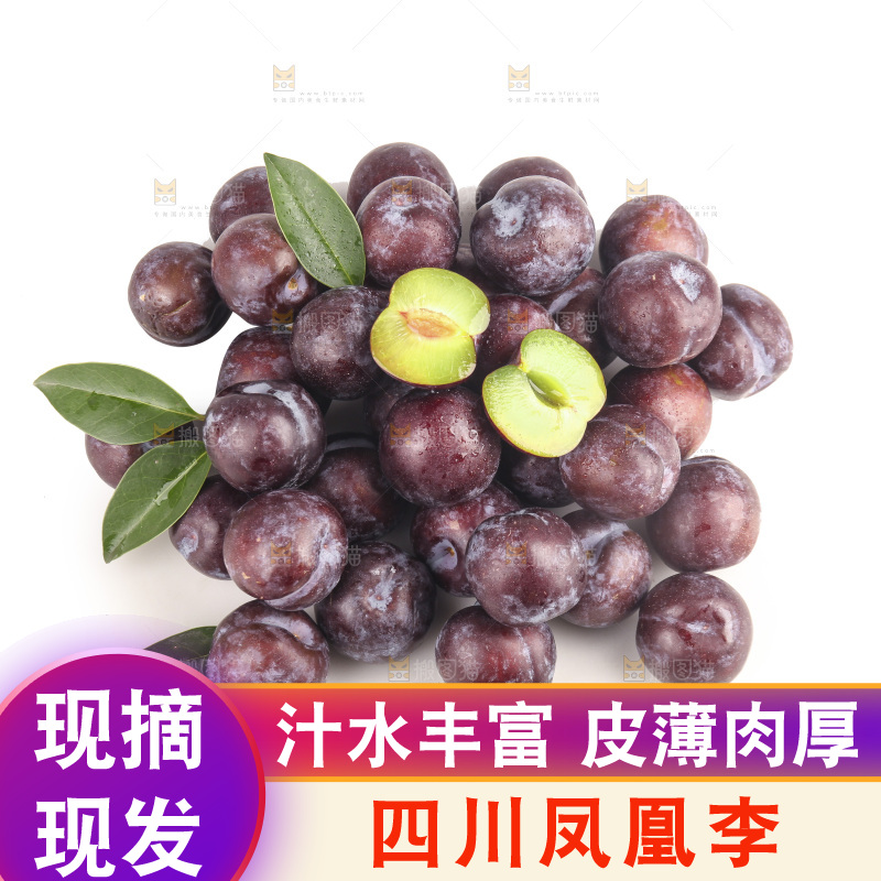 白底上的五月脆李子