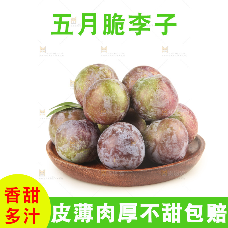 白底上的五月脆