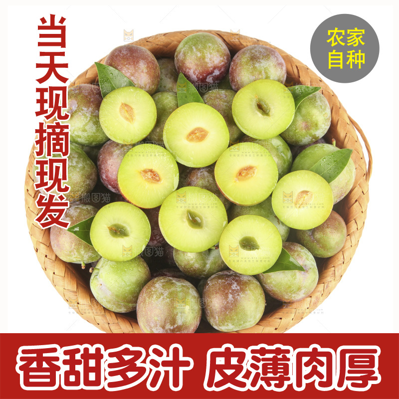 白底上的五月脆