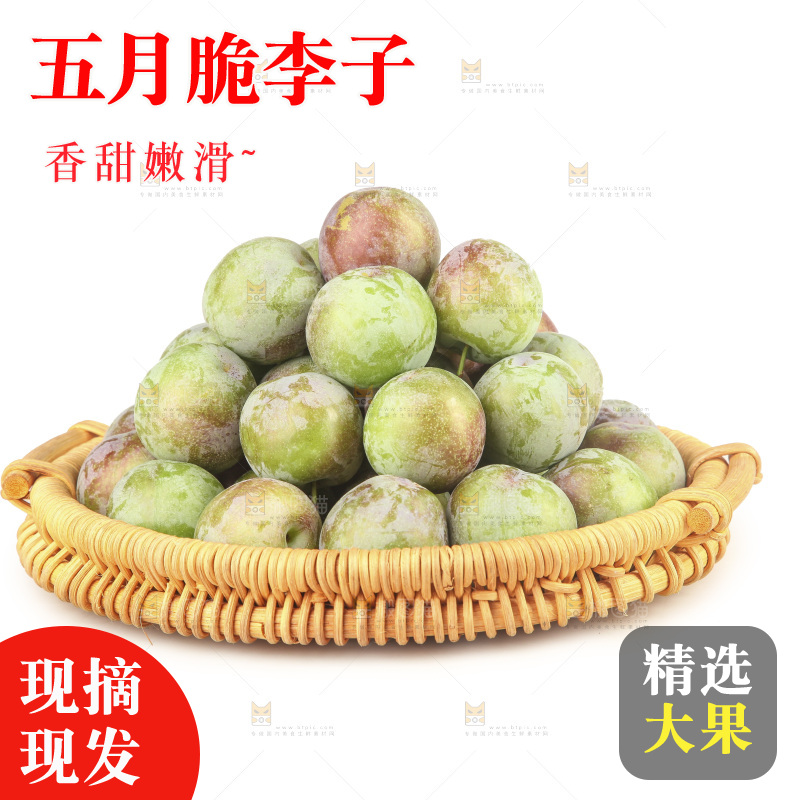 白底上的五月脆