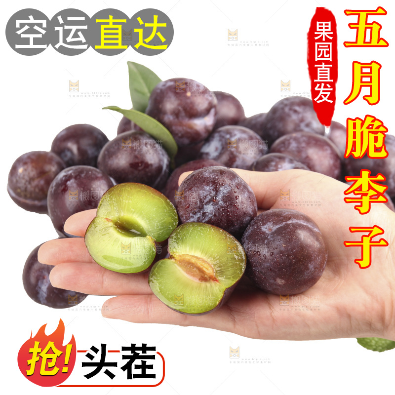 白底上的五月脆李子