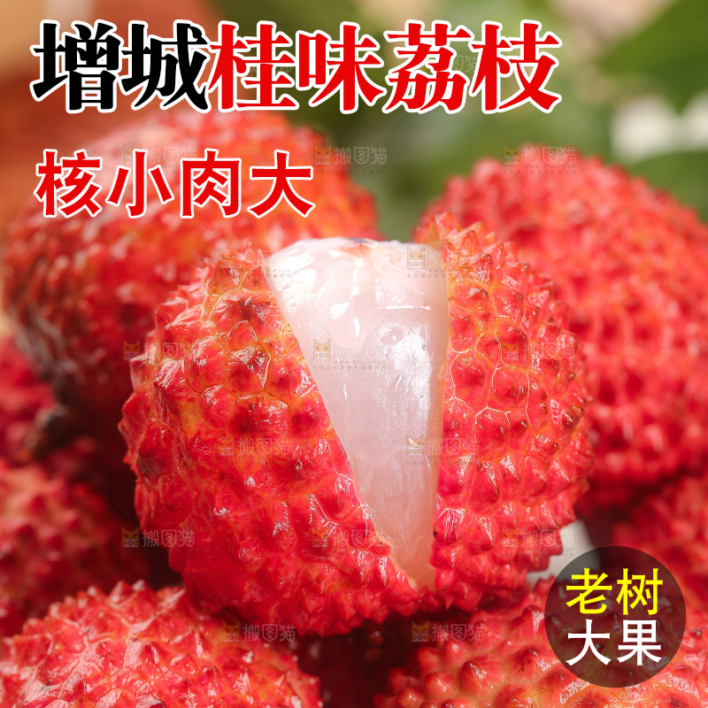 浅底上的桂味荔枝