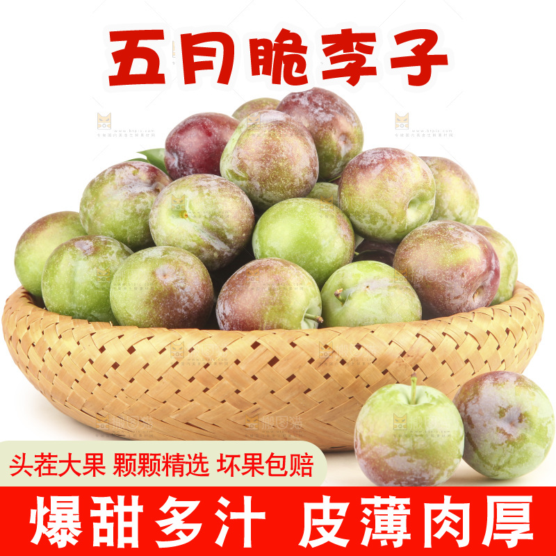 白底上的五月脆