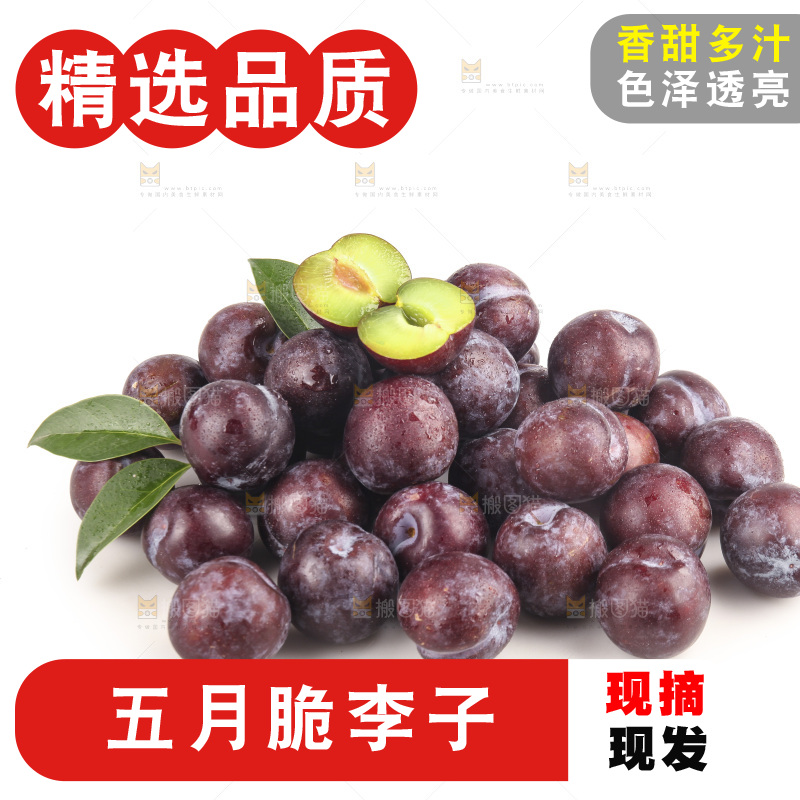 白底上的五月脆李子