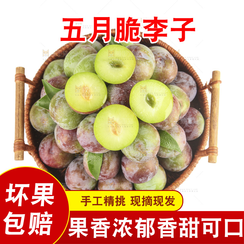 白底上的五月脆