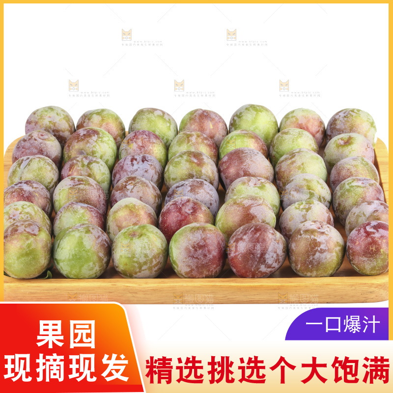 白底上的五月脆