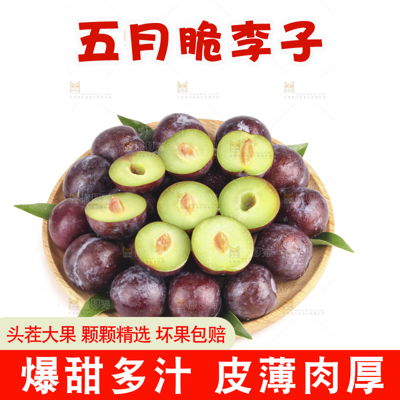 白底上的五月脆李子