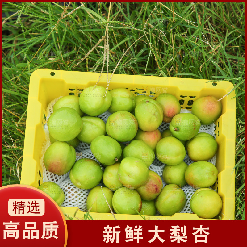草地上放着大梨杏