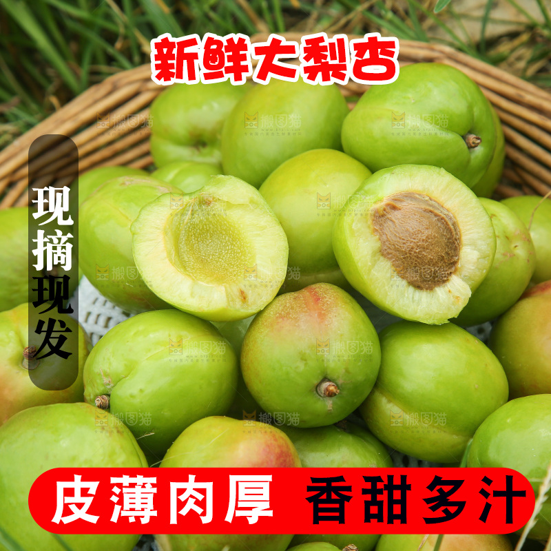 草地上放着大梨杏