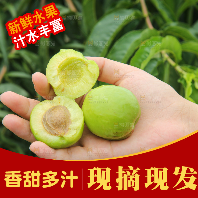 手里拿着大梨杏