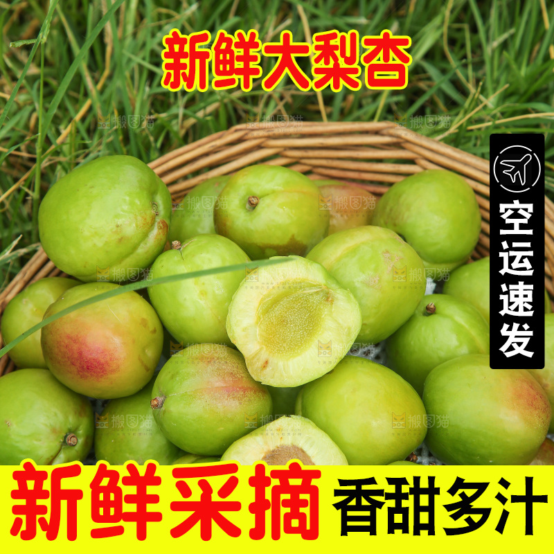 草地上放着大梨杏