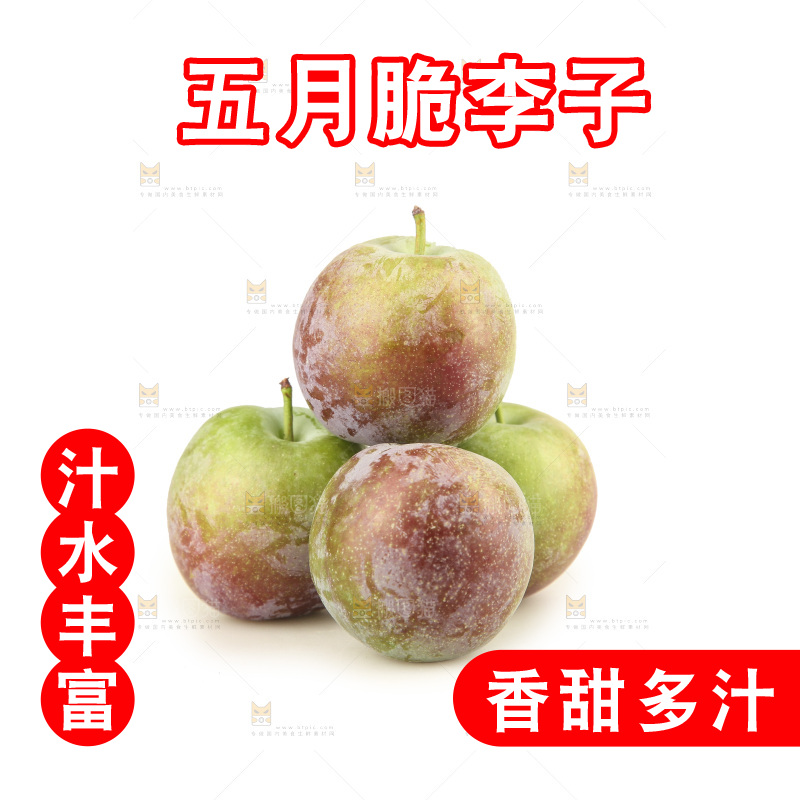 白底上的五月脆