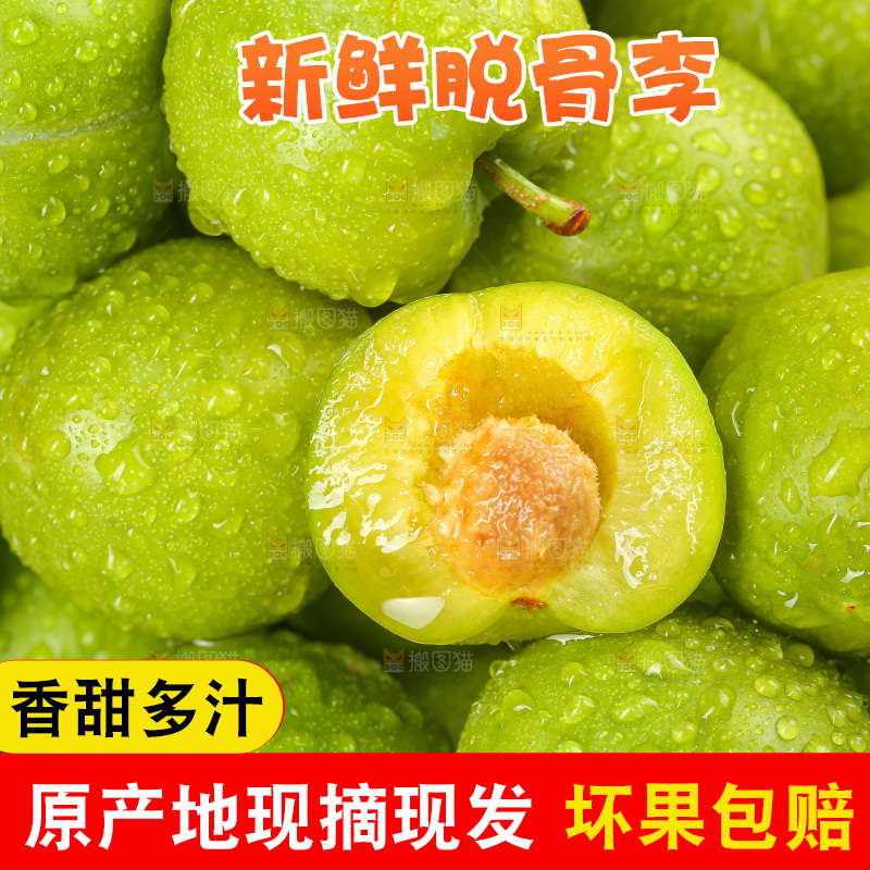 木底上的脱骨李