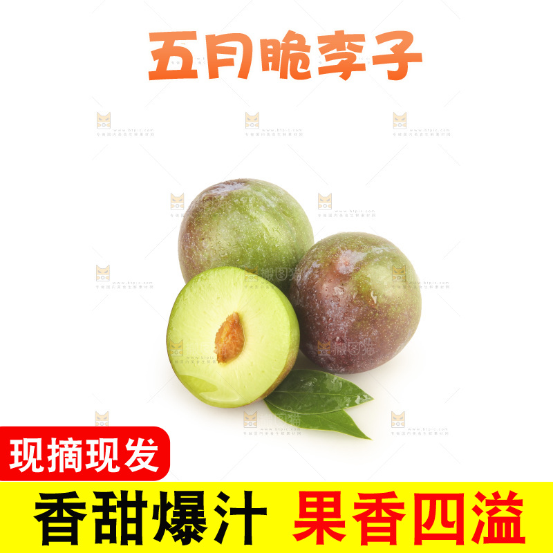 白底上的五月脆