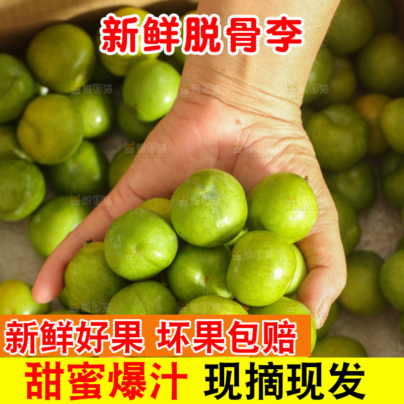 木底上的脱骨李