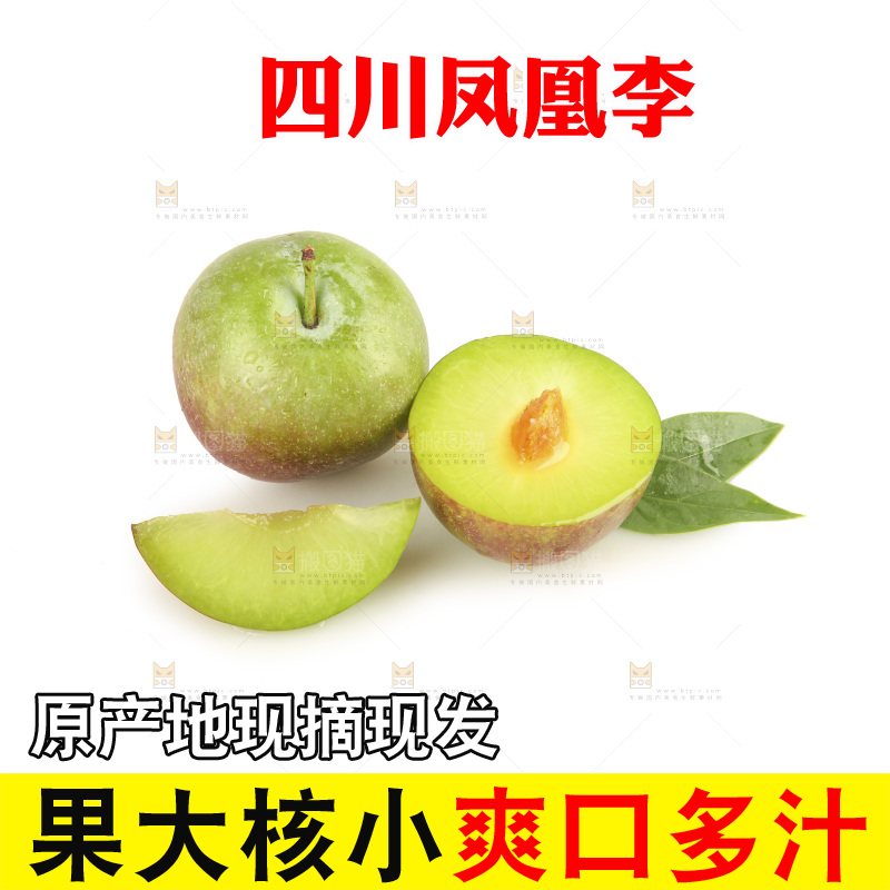 白底上的五月脆