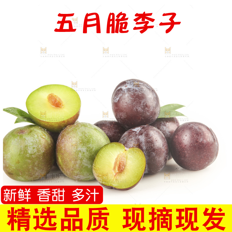 白底上的五月脆
