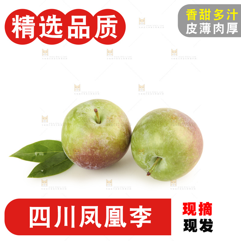 白底上的五月脆