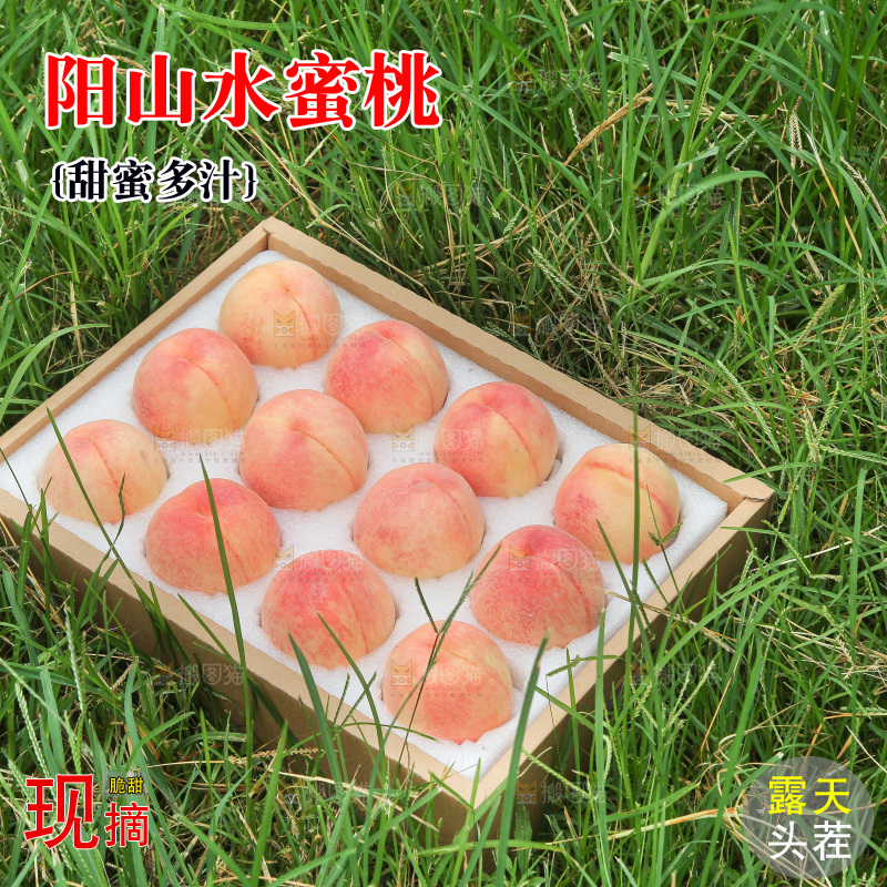 草地上的一箱阳山水蜜桃