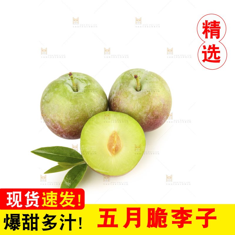 白底上的五月脆