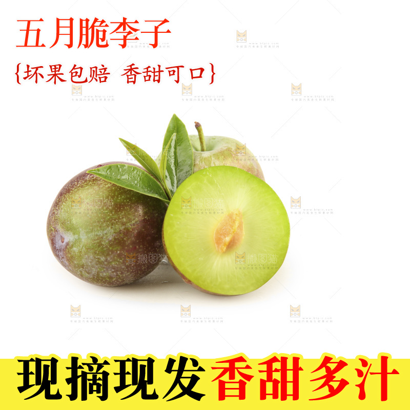 白底上的五月脆