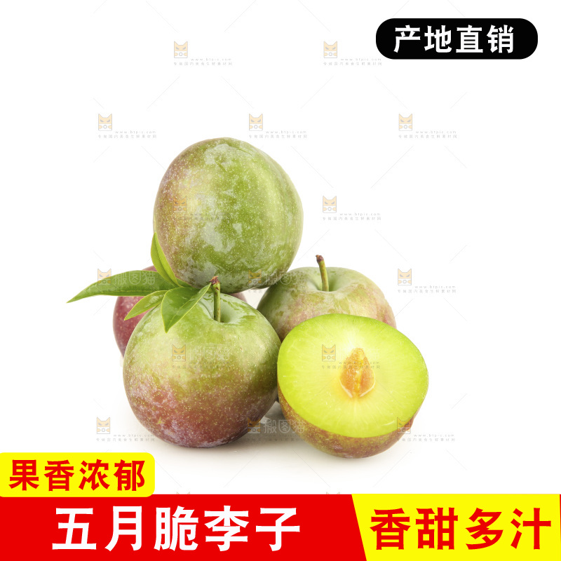 白底上的五月脆
