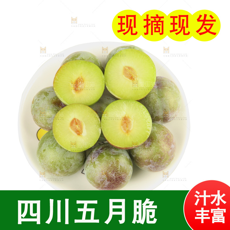 白底上的五月脆