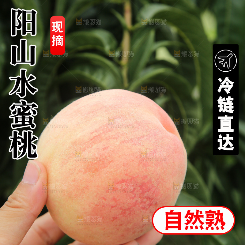 手里拿着阳山水蜜桃