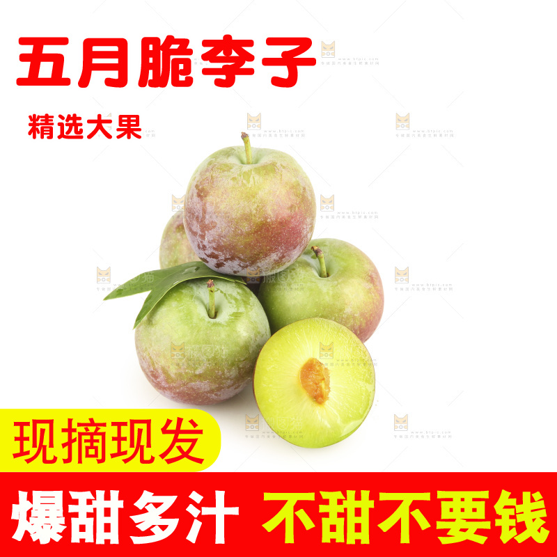 白底上的五月脆