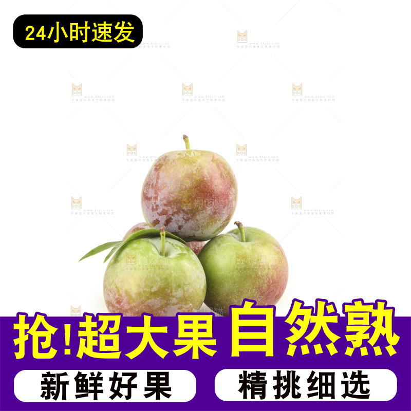 白底上的五月脆