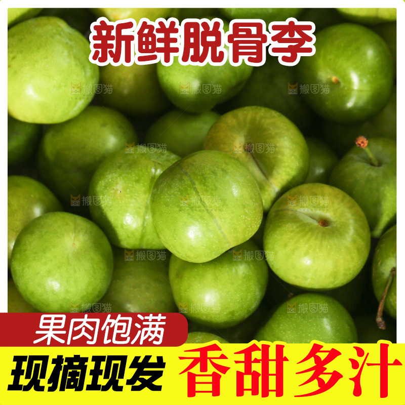 木底上的脱骨李