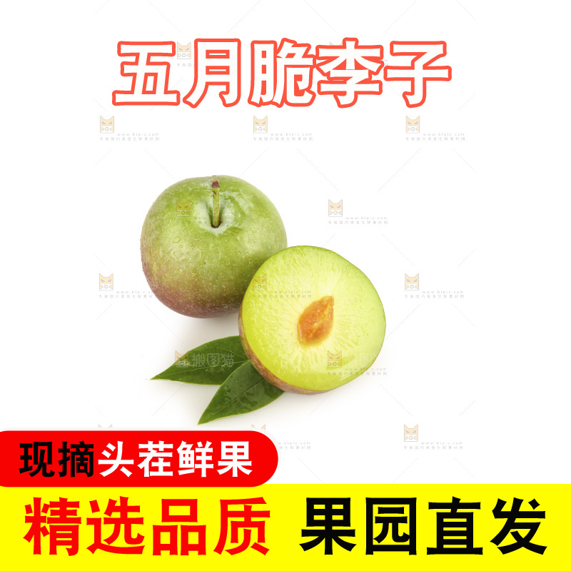 白底上的五月脆