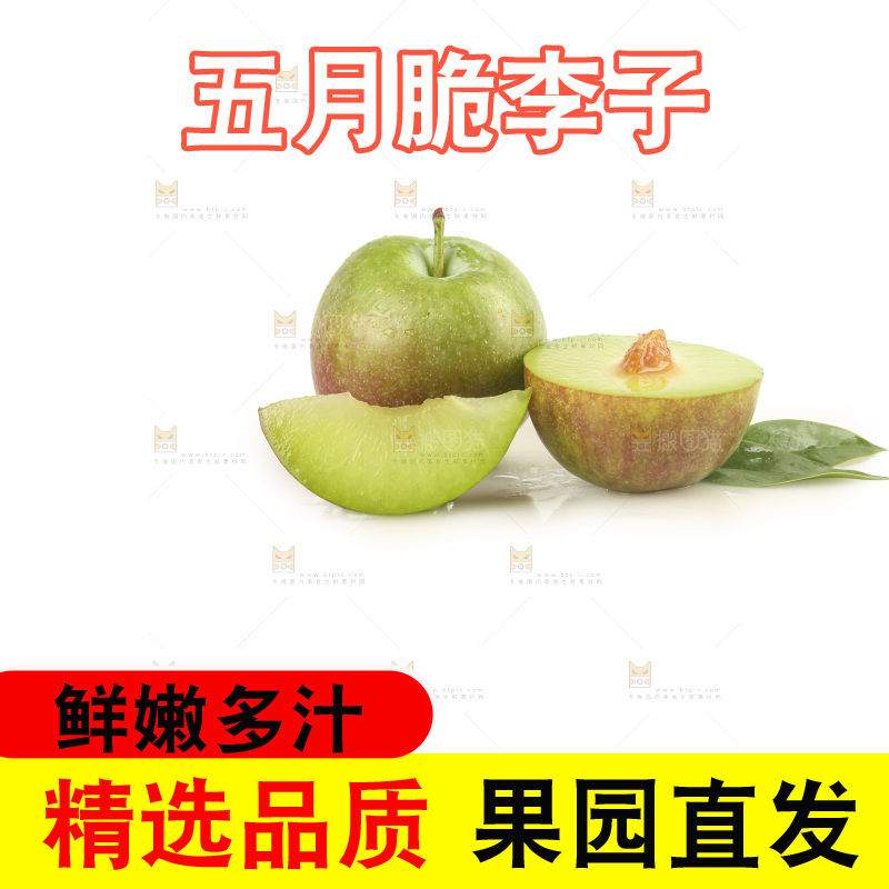 白底上的五月脆