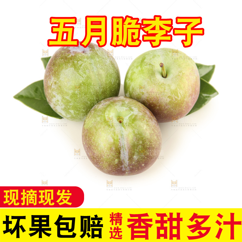 白底上的五月脆