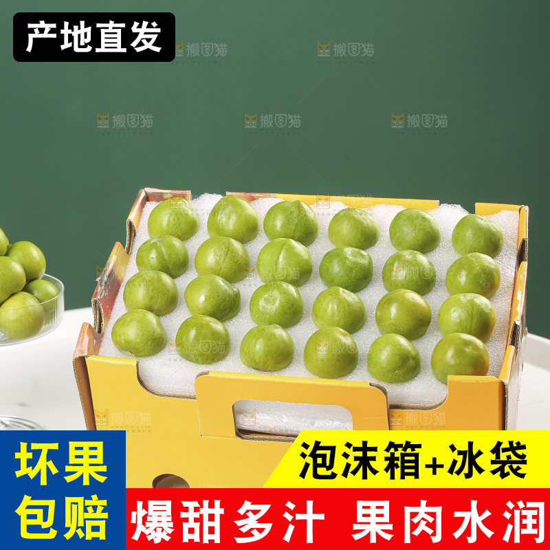 木底上的脱骨李