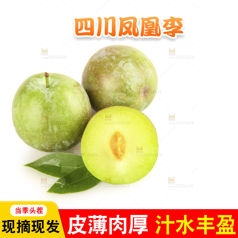 白底上的五月脆