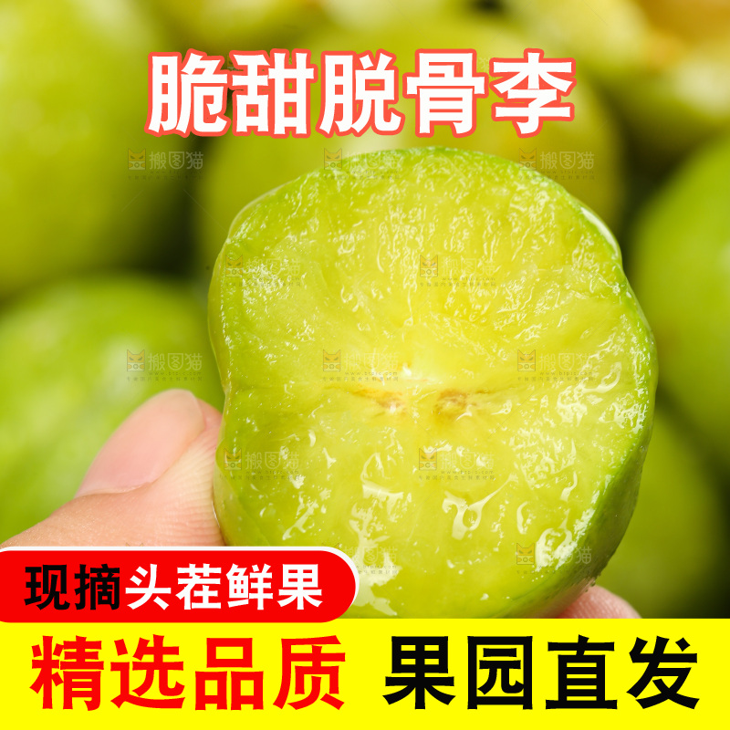 木底上的脱骨李