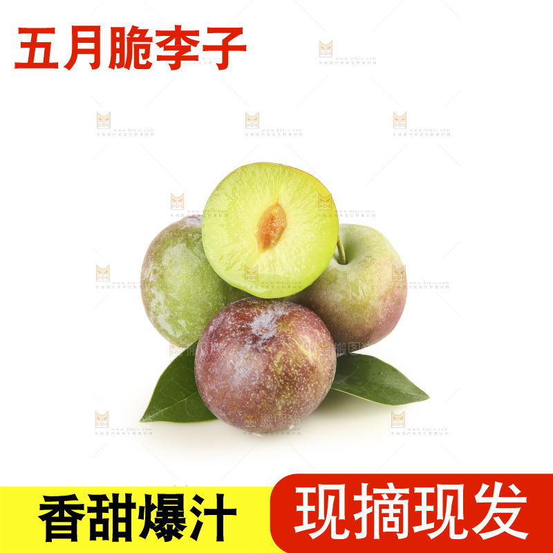 白底上的五月脆