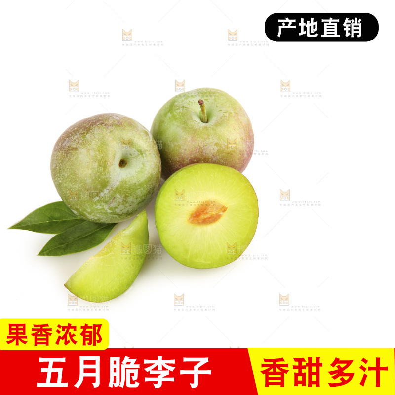 白底上的五月脆