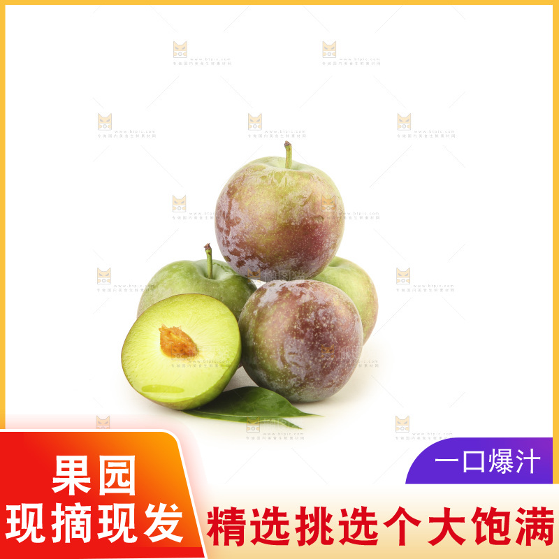 白底上的五月脆