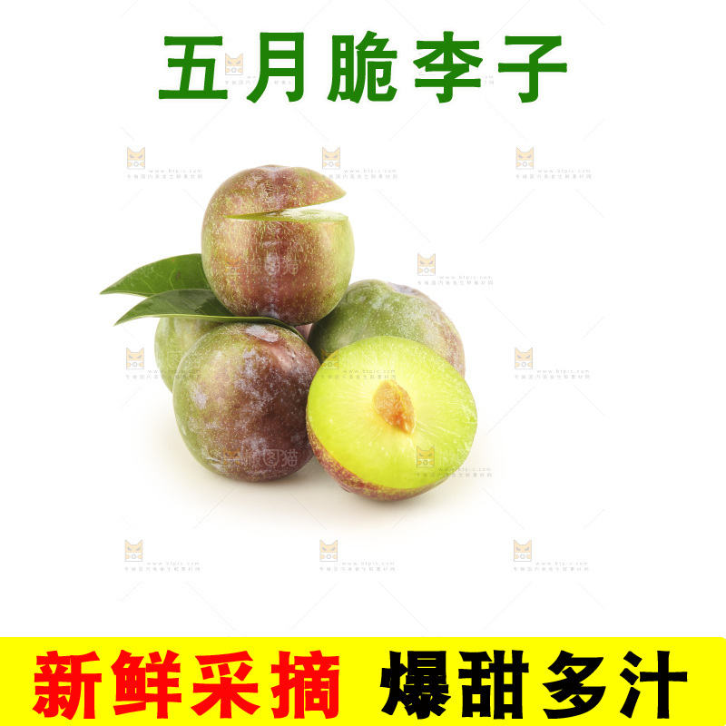 白底上的五月脆