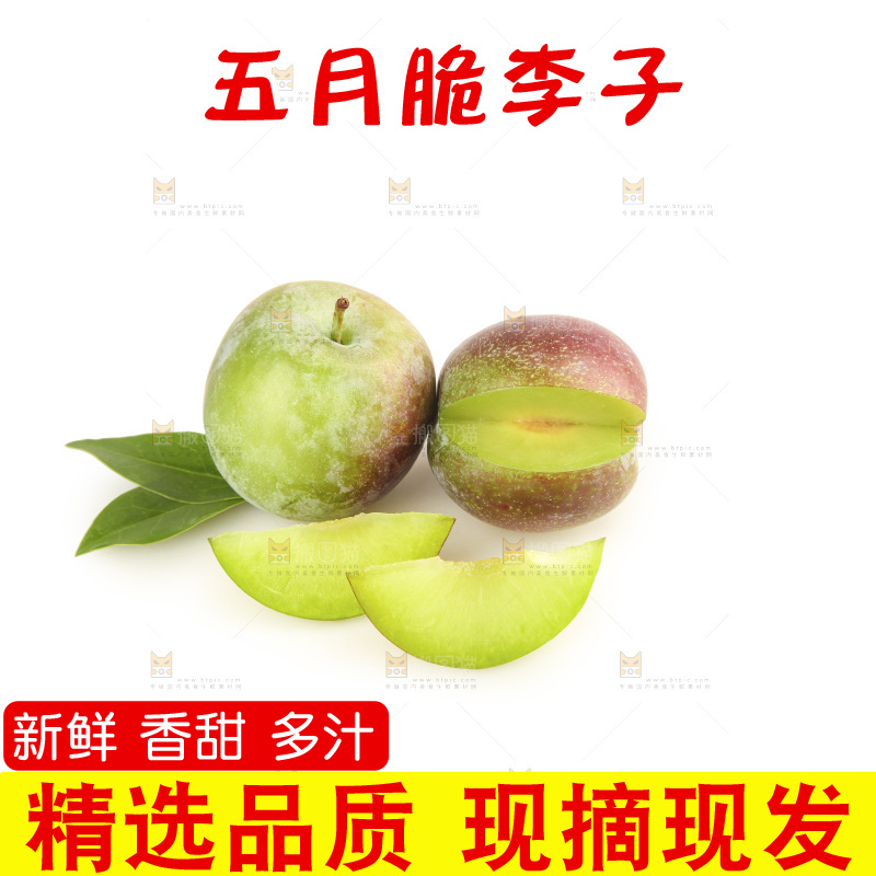 白底上的五月脆