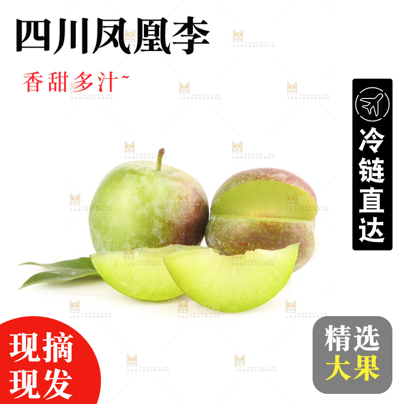 白底上的五月脆